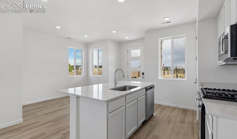 2485 Serviceberry Grove