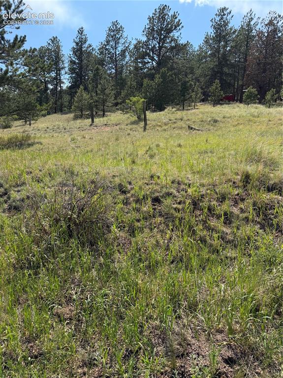 39 Rabbil Creek Trail