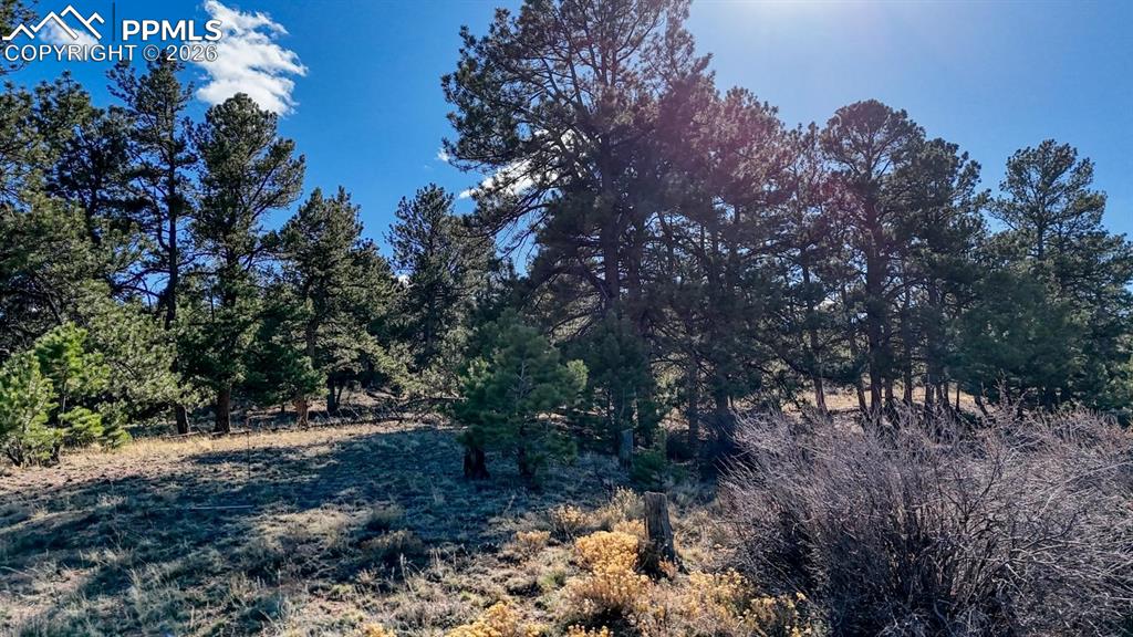 Lot 5124 Arikara Trail