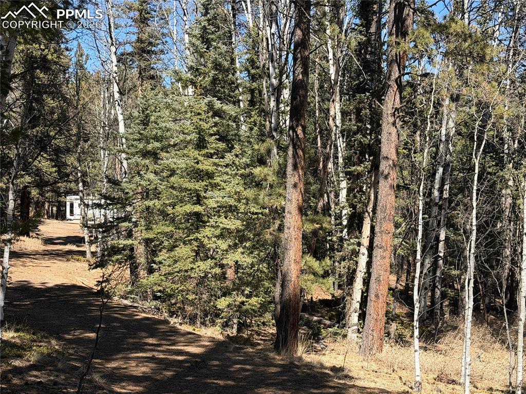 249 Gold Dust Creek Road