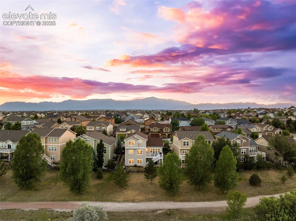 6667 Cottonwood Tree Drive