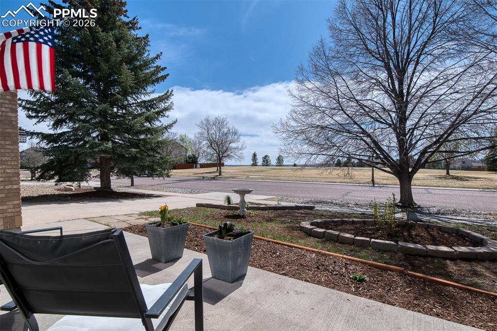 8512 Candleflower Circle