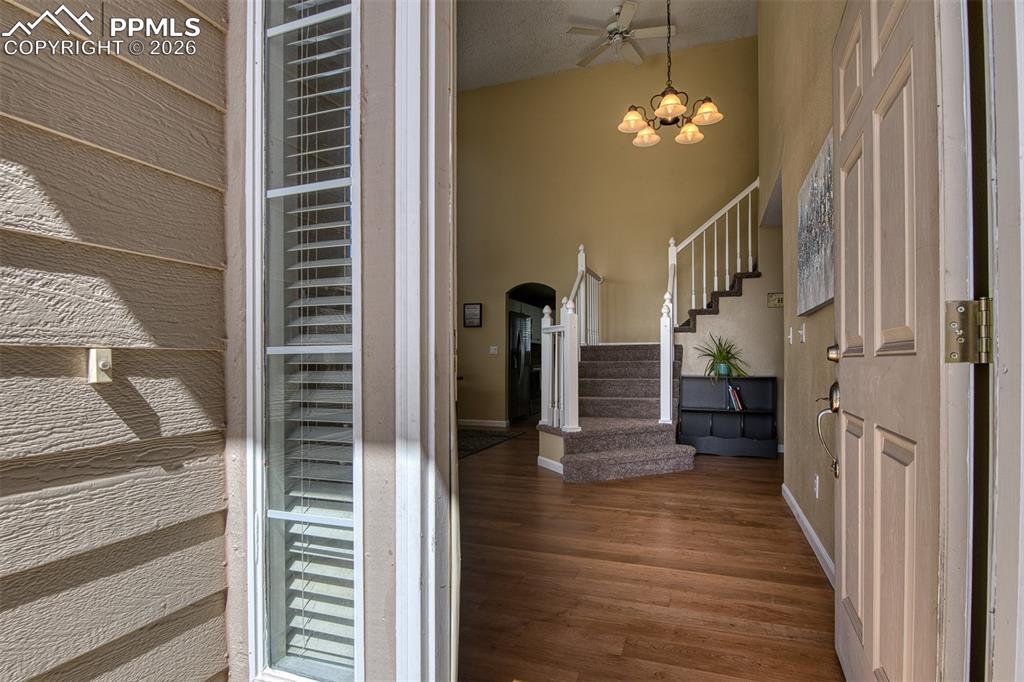 8512 Candleflower Circle