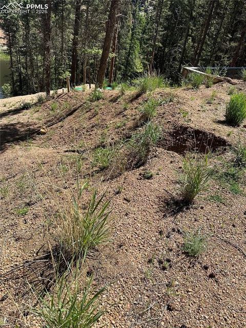 67 Gerka Lane Florissant CO 80816