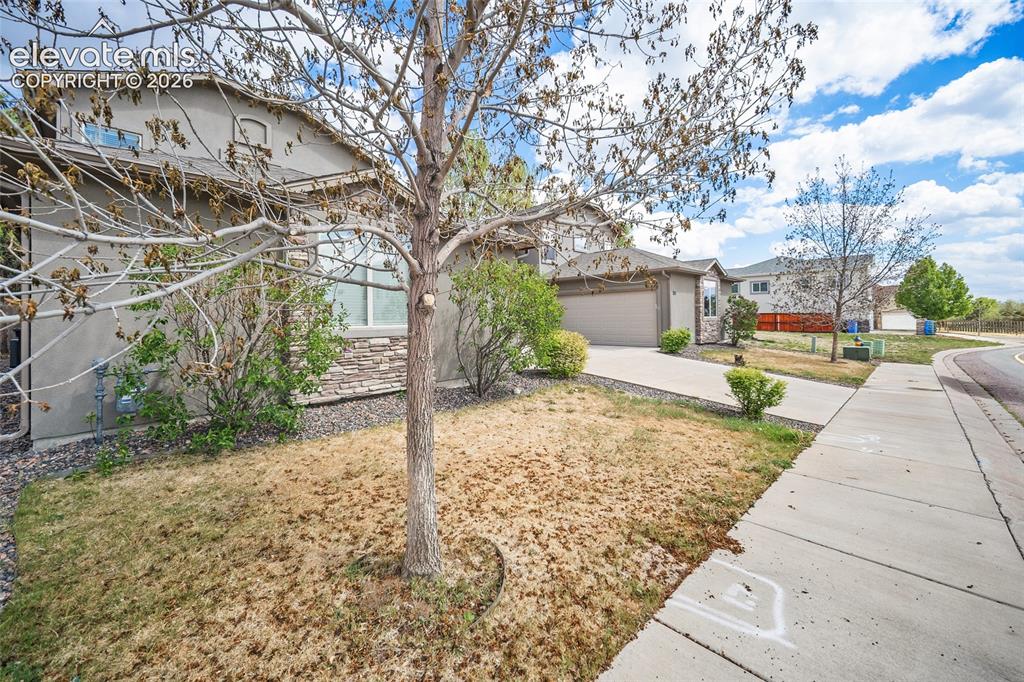 3723 Scott Lane