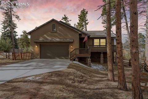 1169 Ptarmigan Drive Woodland Park CO 80863