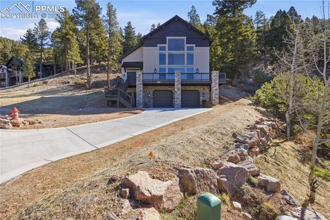 1015 Locklin Way Woodland Park CO 80863