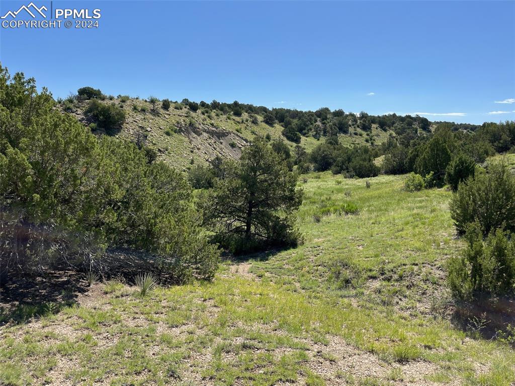 Railroad Springs Road