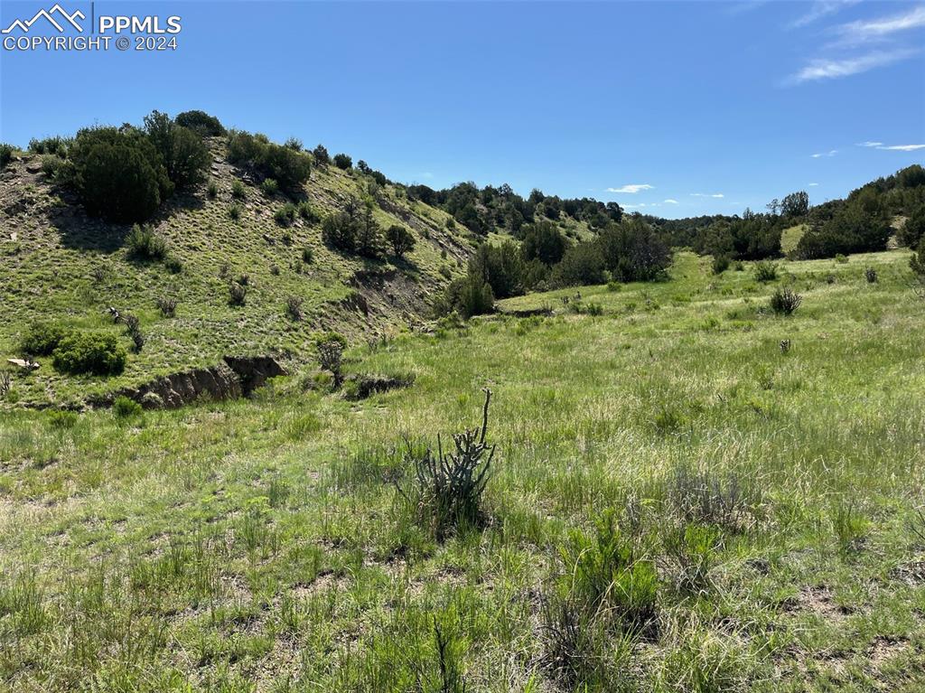 Railroad Springs Road