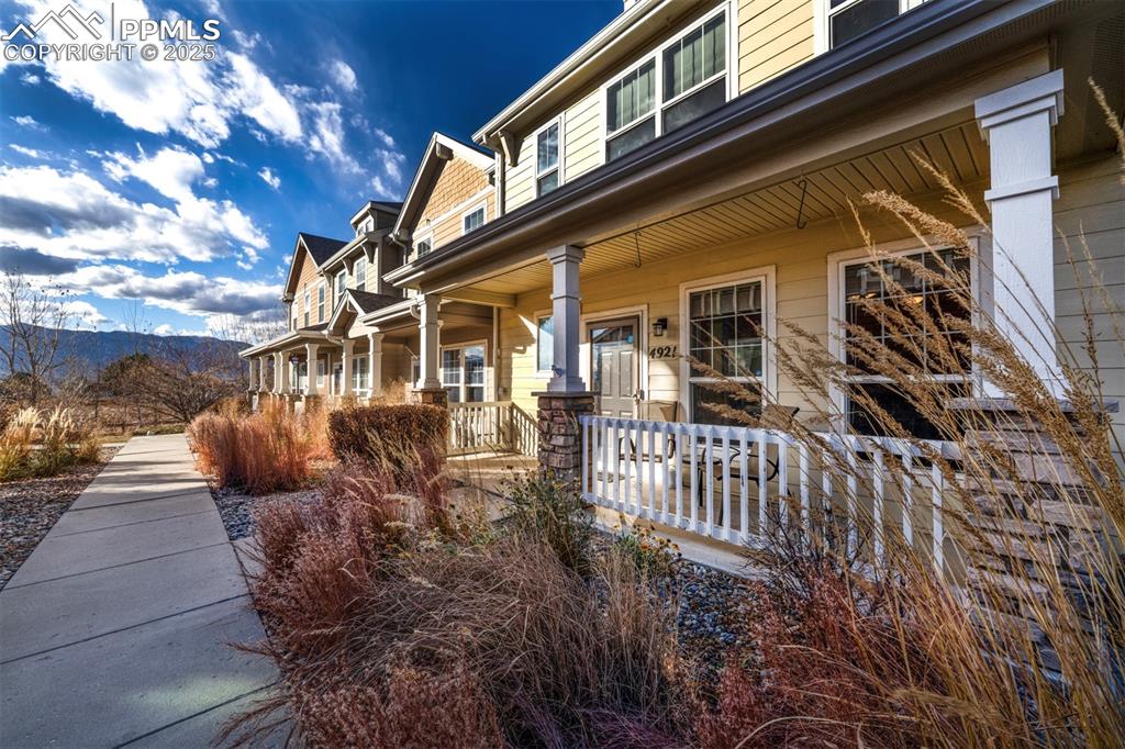 4921 Black Vulture Grove
