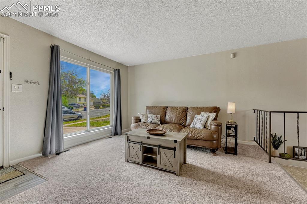 4079 Morley Circle