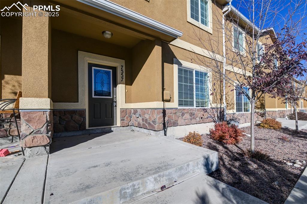 7557 Black Spruce Heights