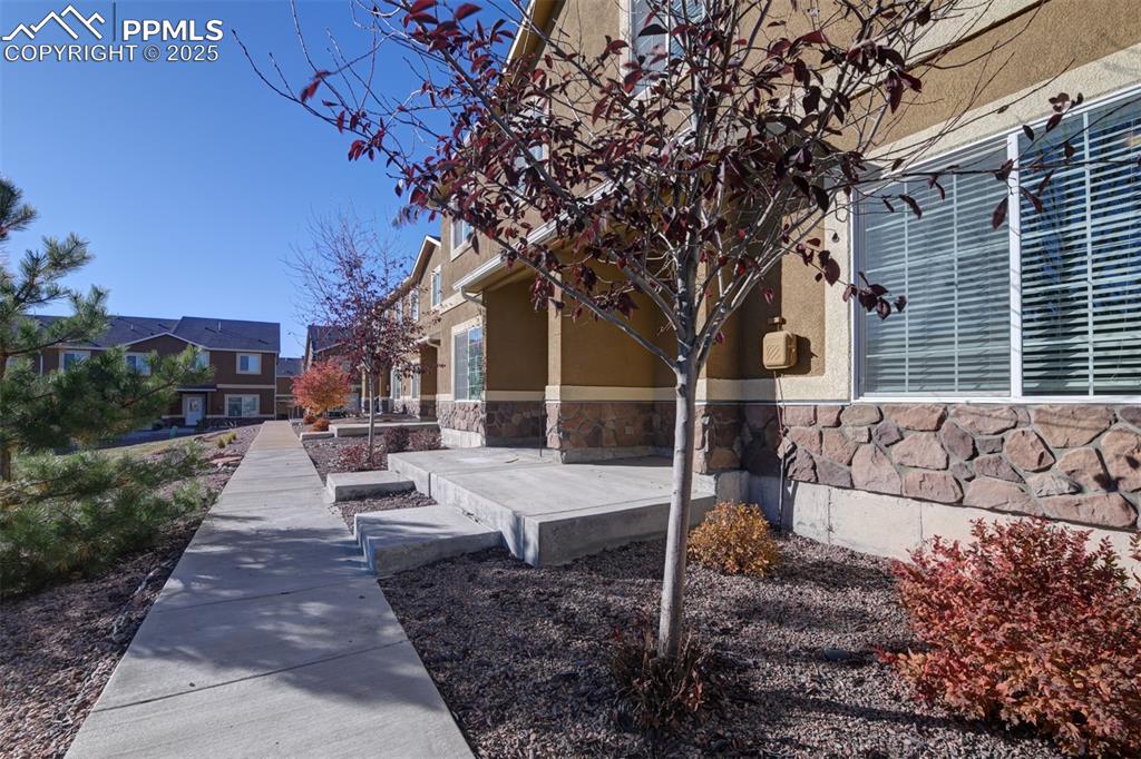 7557 Black Spruce Heights