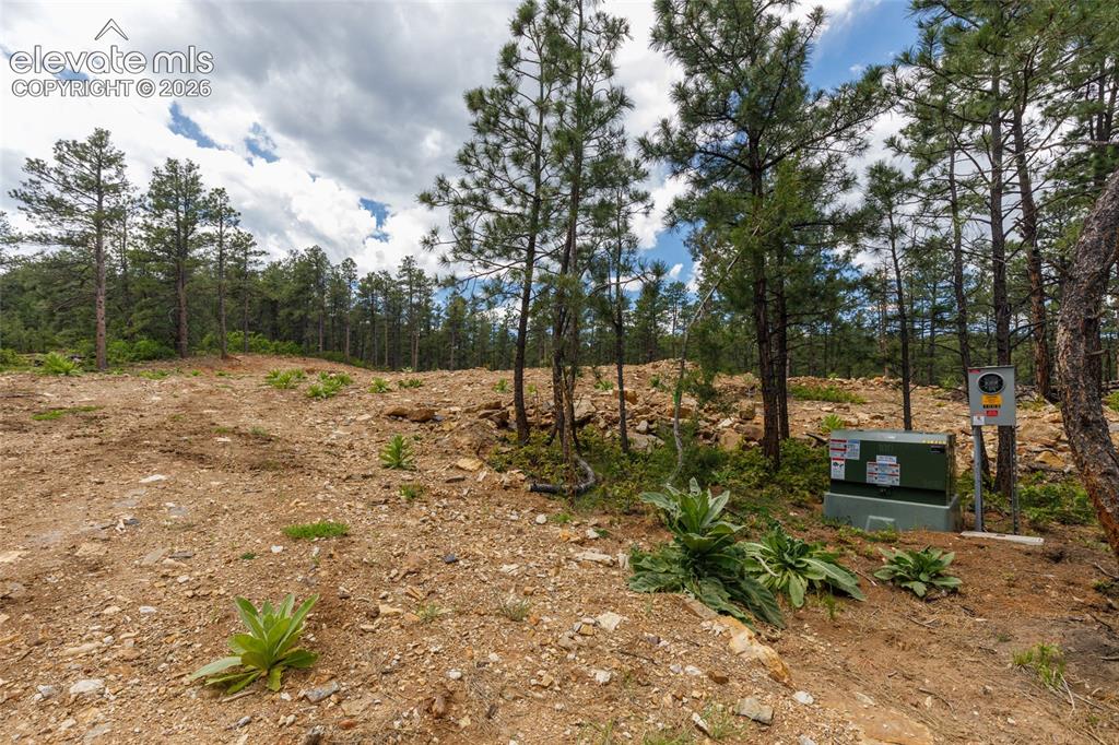 8719 Ponderosa Pine Drive
