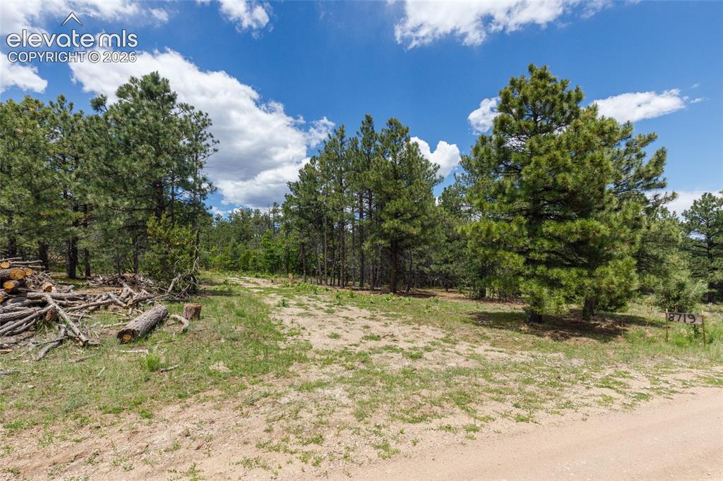 8719 Ponderosa Pine Drive
