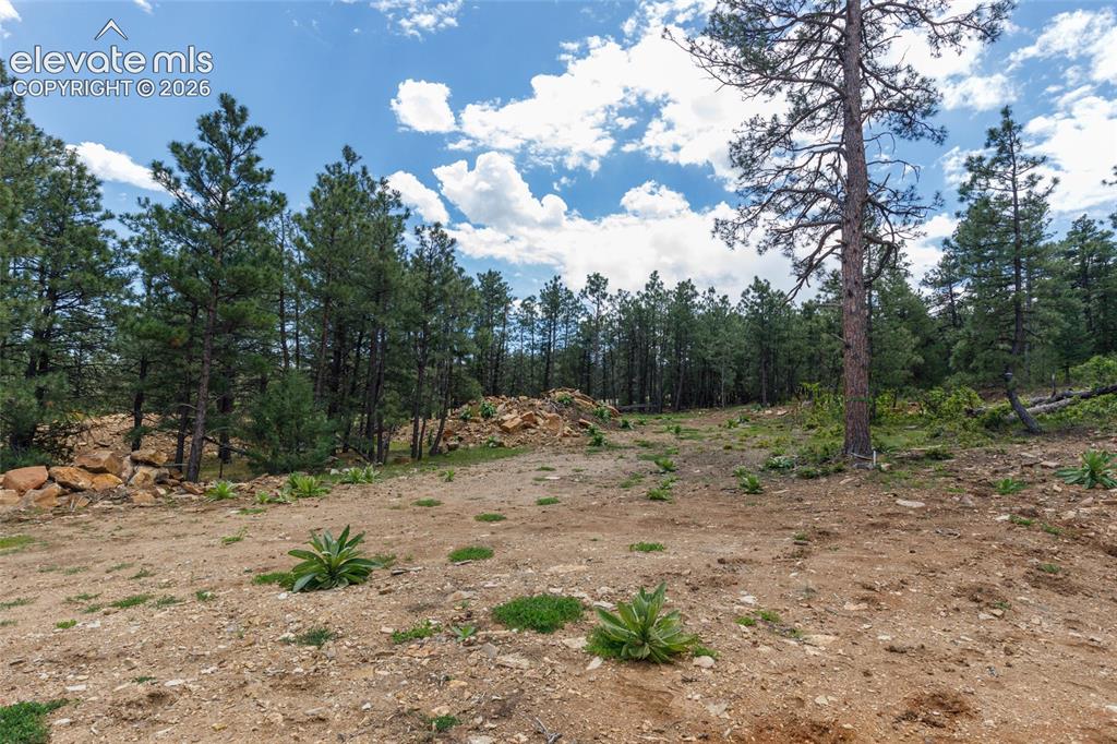 8719 Ponderosa Pine Drive