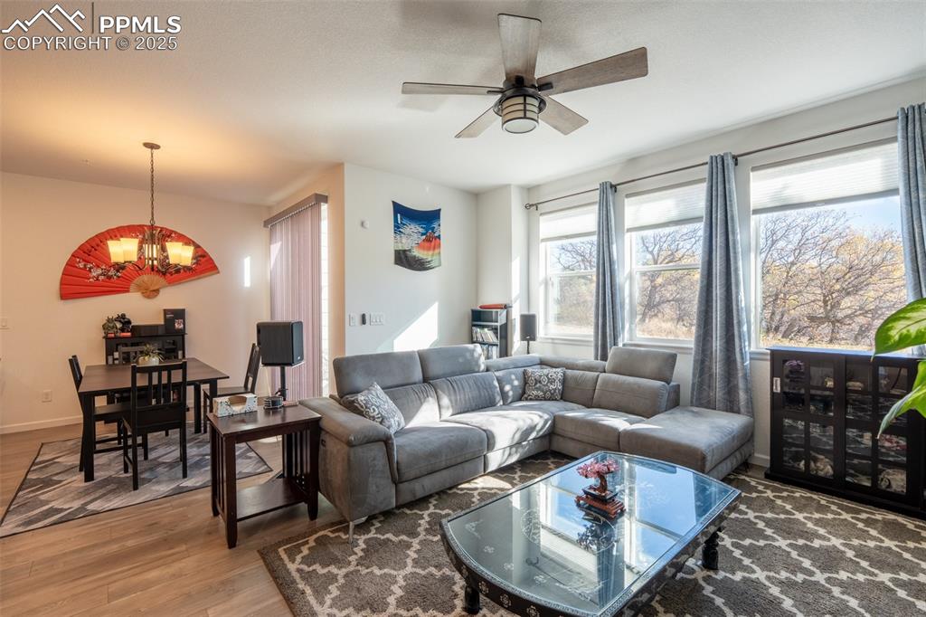 15619 Kitchener Way
