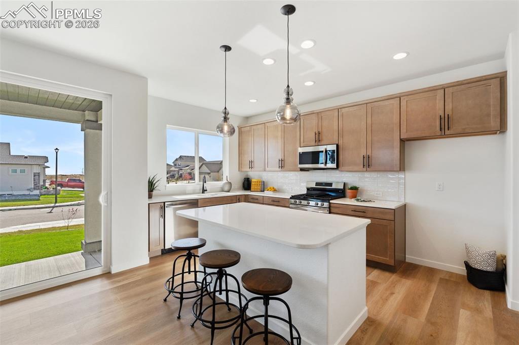 9283 Old Divide Drive