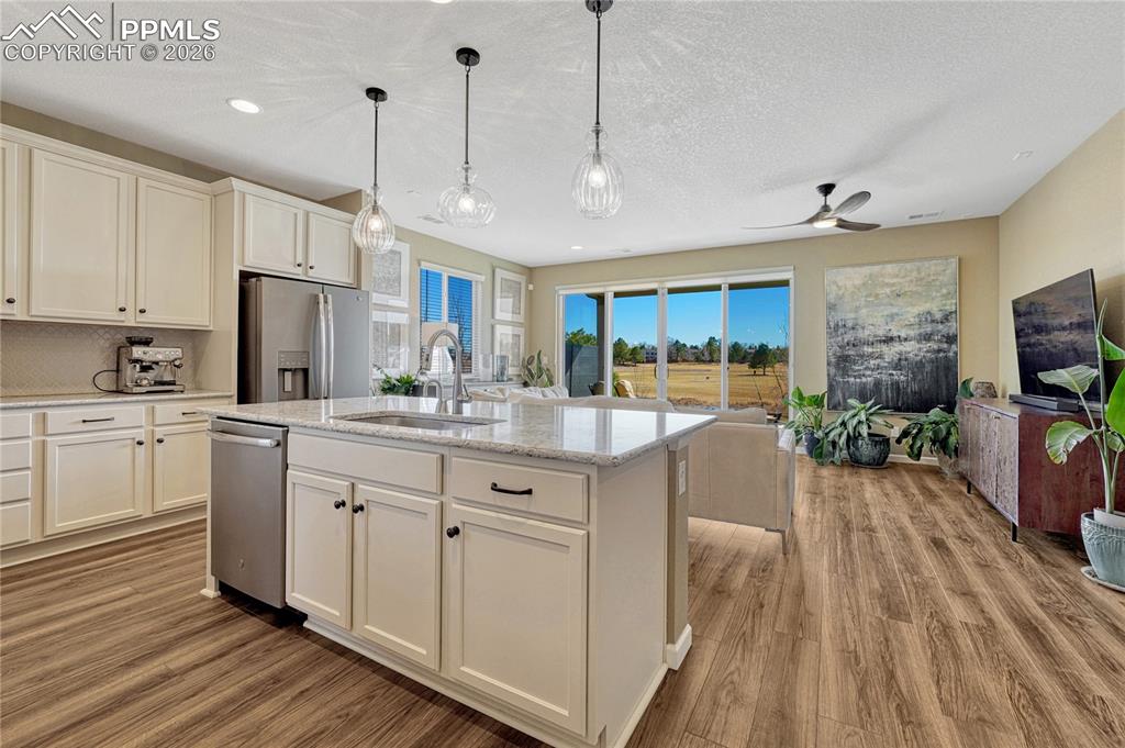 448 Blue Teal Drive, Castle Rock, CO, 80104 448 Blue Teal Drive