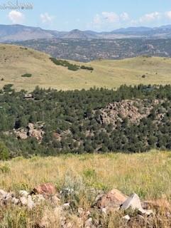 87A Flat Top Drive