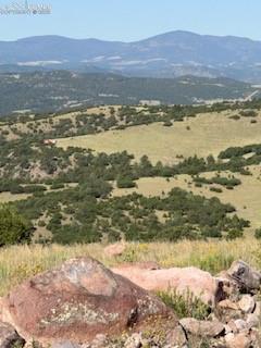 87A Flat Top Drive