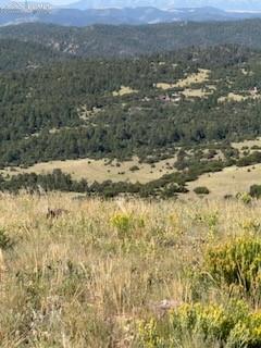 87A Flat Top Drive