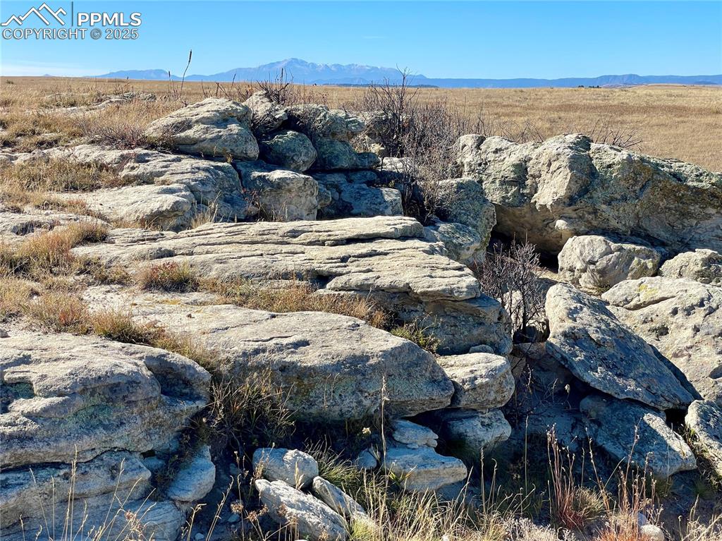 Cave Spring Trail