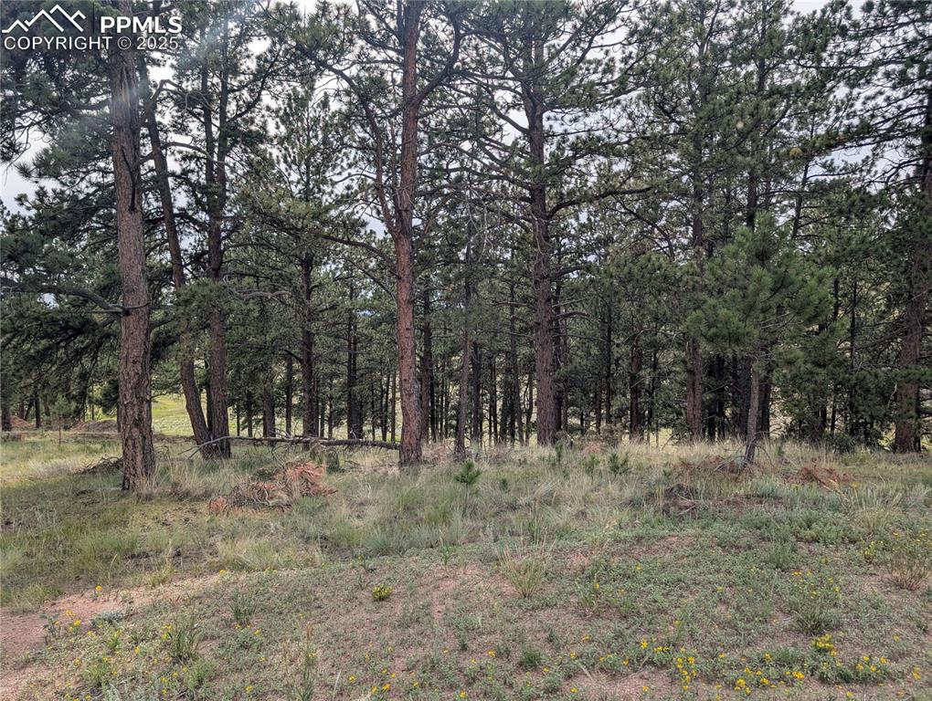 1379 S Mountain Estates Road