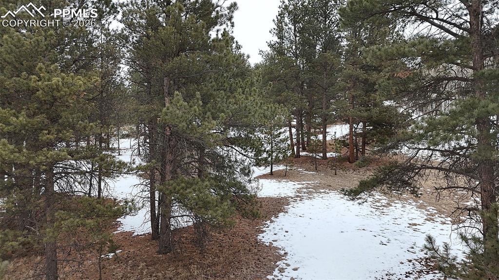 210 Rhyolite Lane