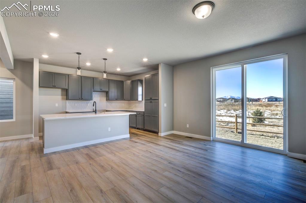 13624 Nederland Drive