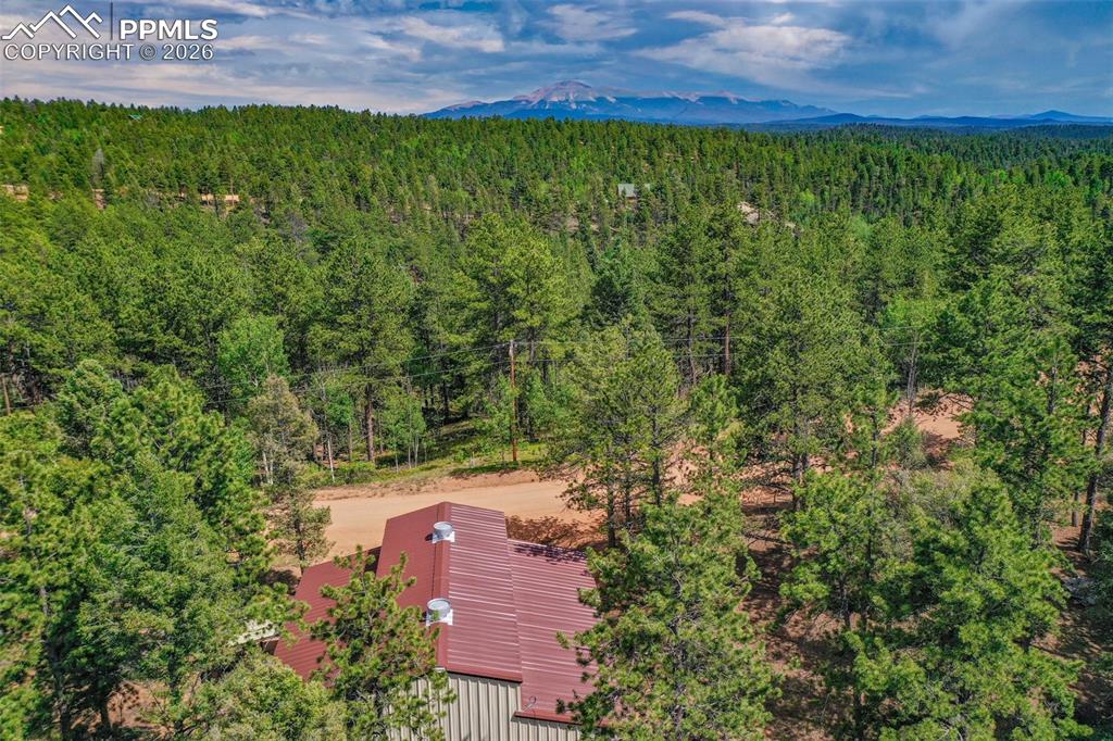 449 Woody Creek Road