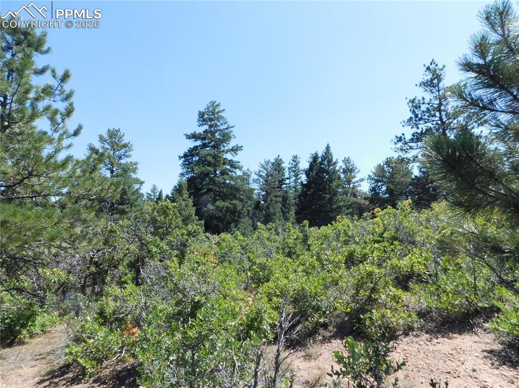 Lot 9 Troon Court