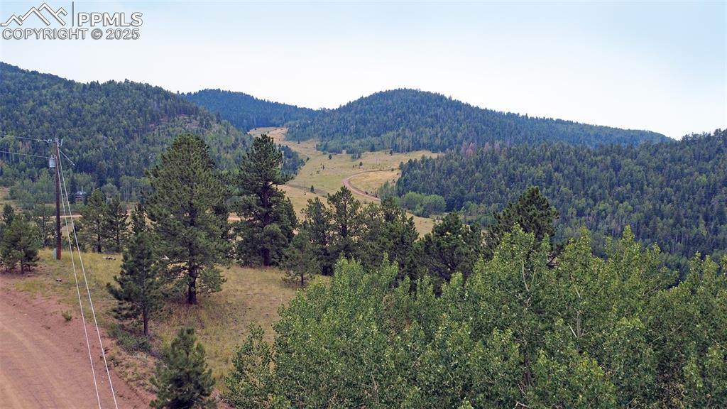 726 Copper Mountain Drive