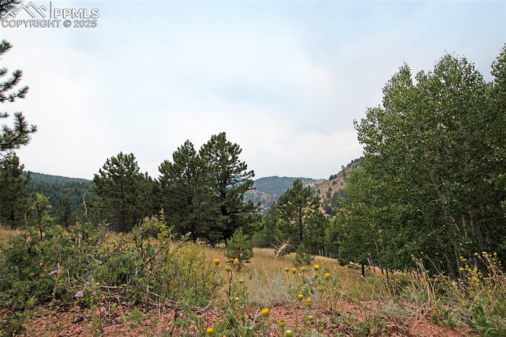 726 Copper Mountain Drive