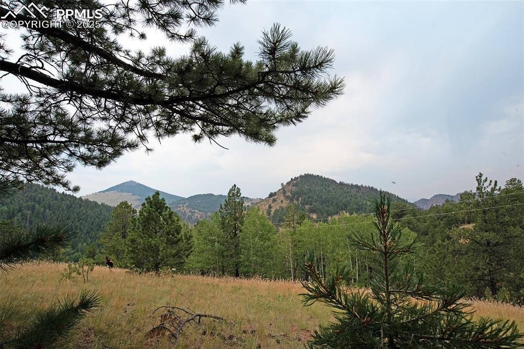 726 Copper Mountain Drive