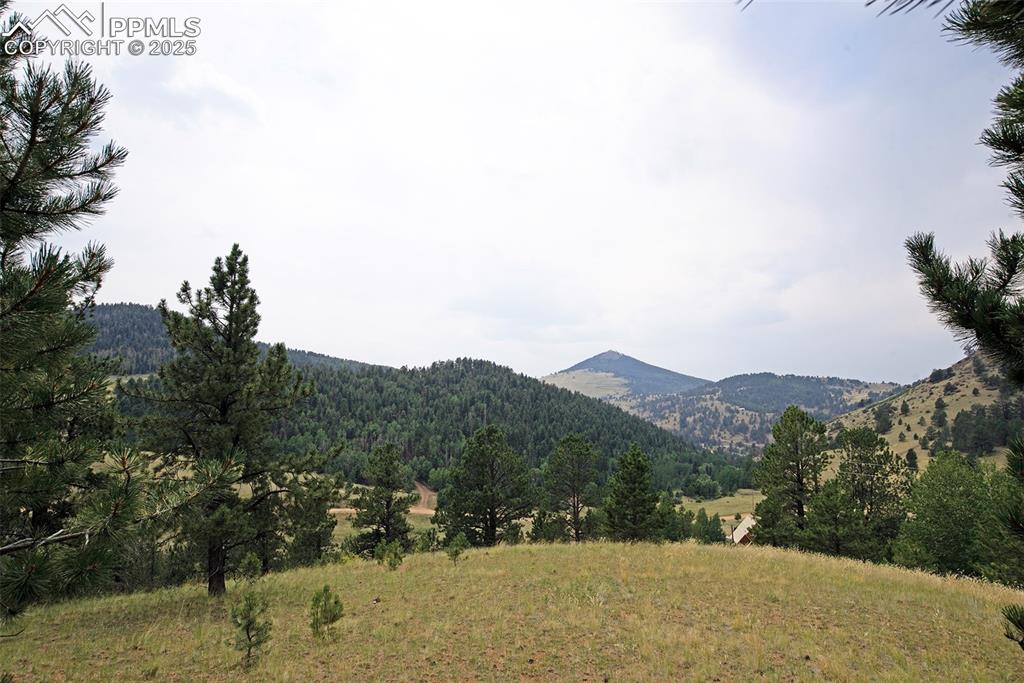 726 Copper Mountain Drive