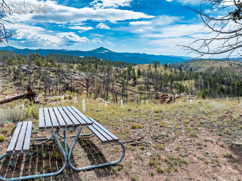 224 Chapparal Trail