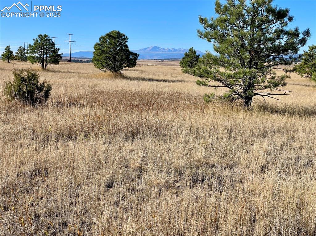 Parcel A County Road 98
