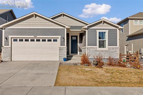 2164 Coyote Mint Drive Monument CO 80132
