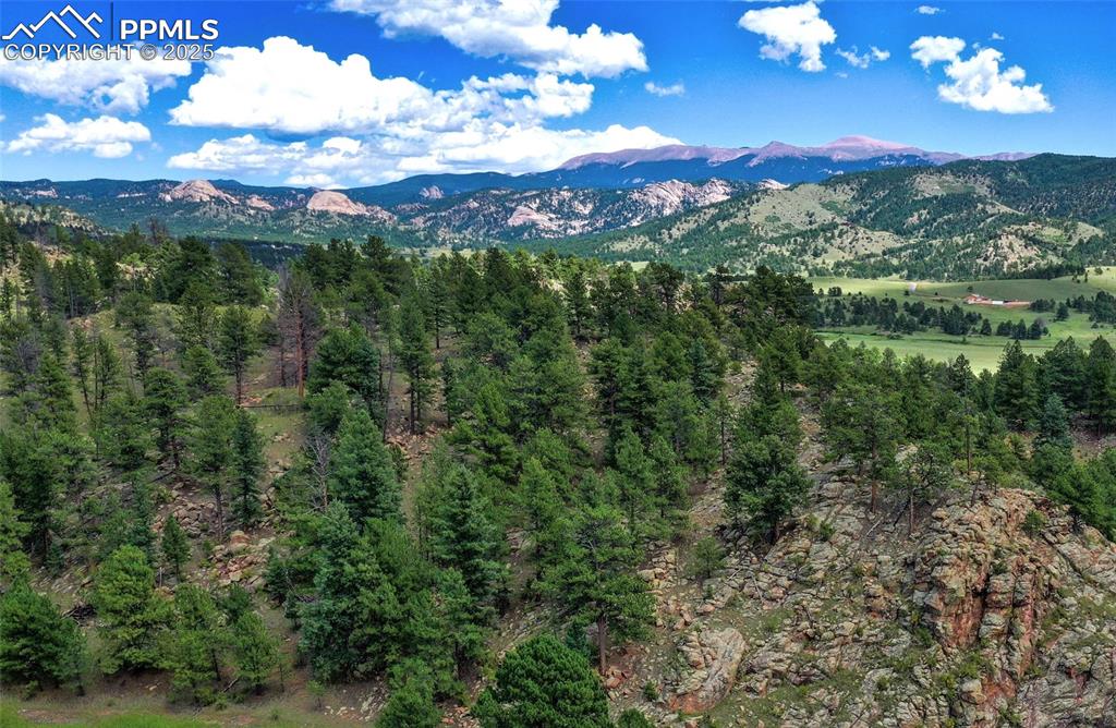 TBD Golden Eagle Heights