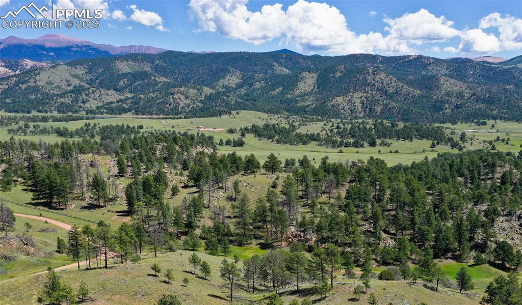 TBD Golden Eagle Heights
