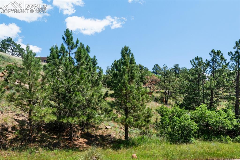 7137 Oak Valley Drive