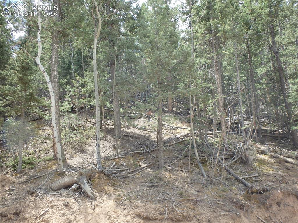 620 Wakanda Trail