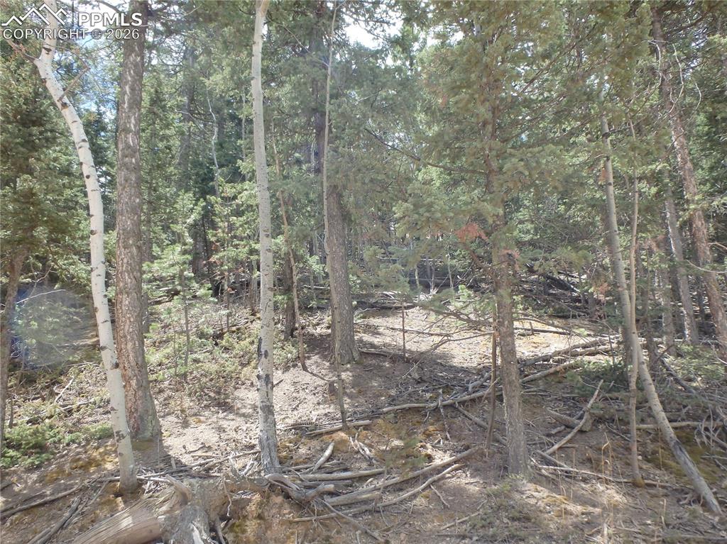 620 Wakanda Trail