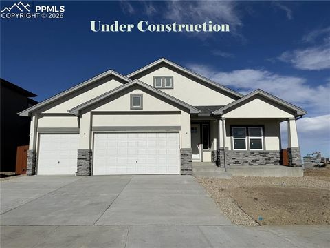 13116 Bluffpoint Drive Peyton CO 80831