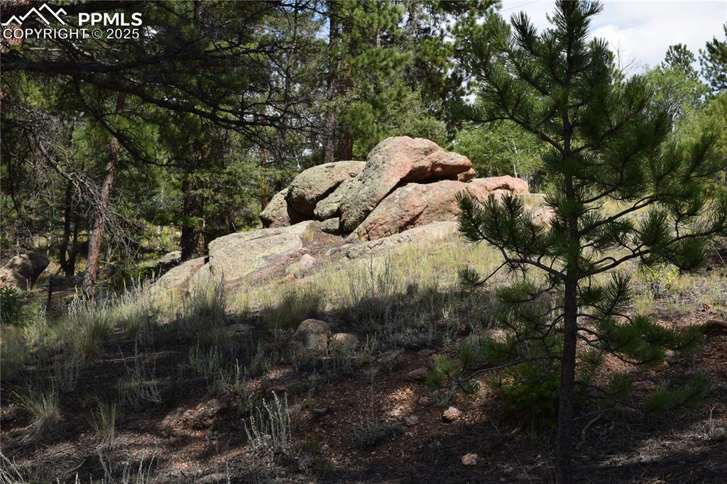 93 Kiowa Creek Trail