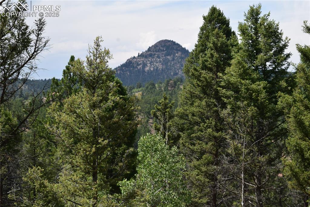 93 Kiowa Creek Trail