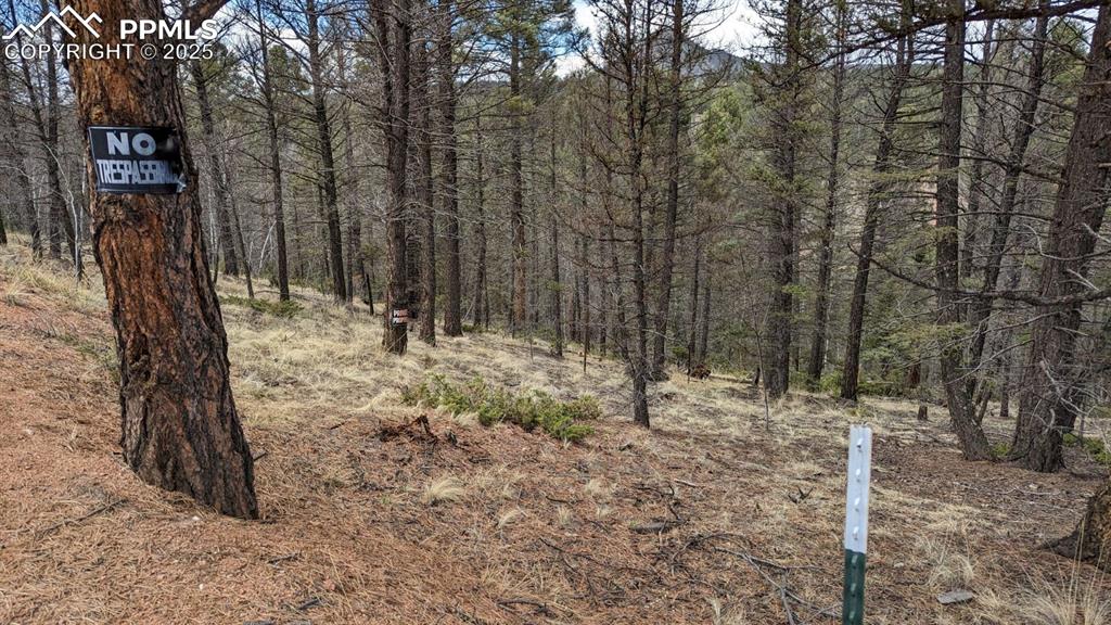 93 Kiowa Creek Trail
