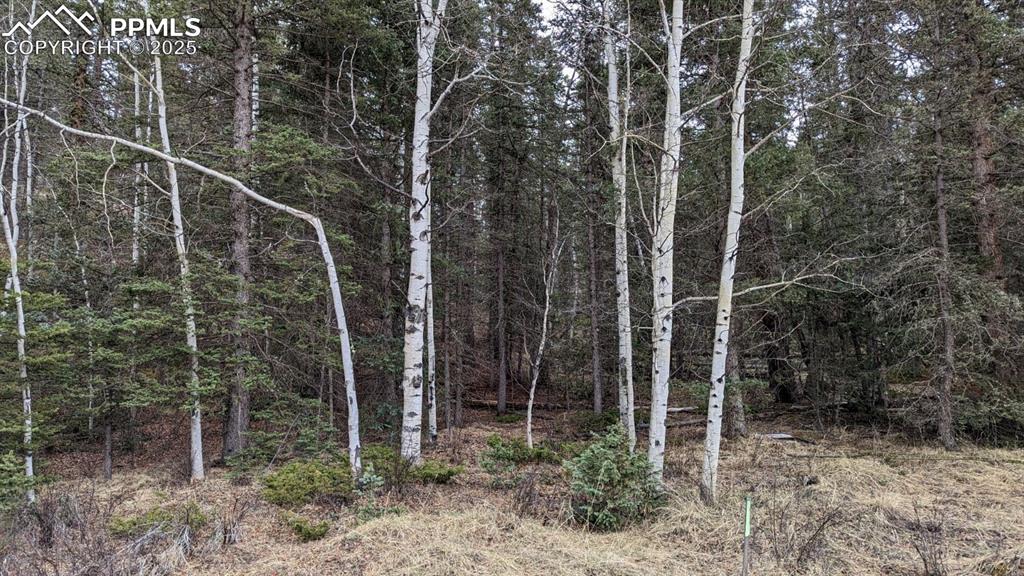 93 Kiowa Creek Trail