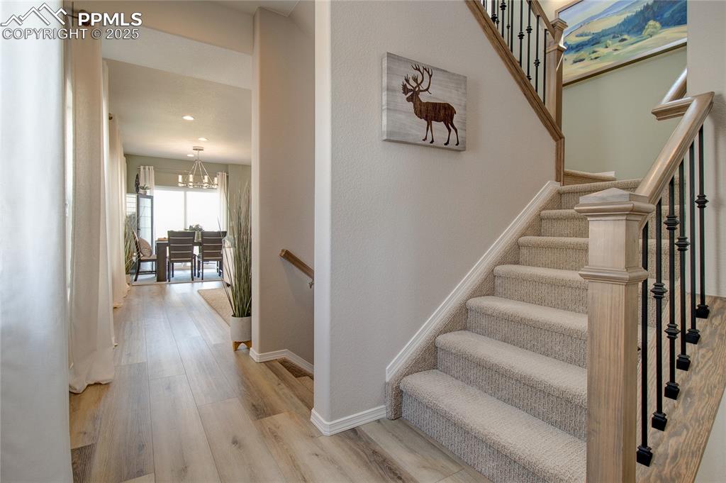 9704 Feathergrass Drive